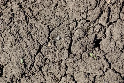 The texture of the soil ground background. dry ground cracks for a long time Stock Photos