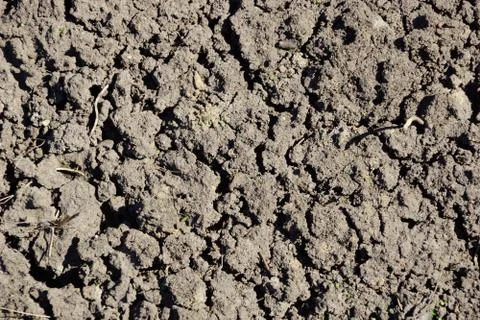 The texture of the soil ground background. dry ground cracks for a long time 스톡 사진