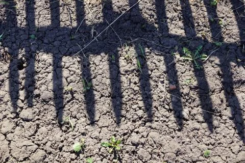 The texture of the soil ground background. shadow of the village fence Stock Photos