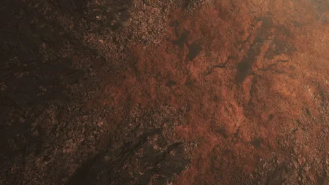 Texture of soil in a natural setting during late afternoon light Stock Footage 345013109