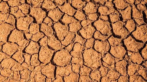 The texture of the soil is a natural texture. Stock Illustration