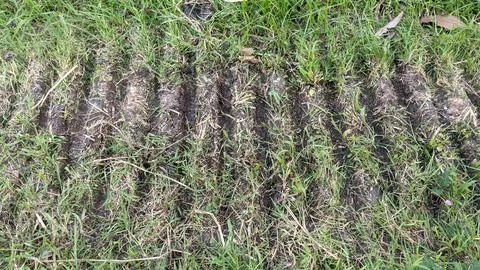 The texture of the soil is streaky Stockfoto's