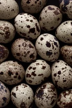 Texture of speckled quail eggs Stock Photos