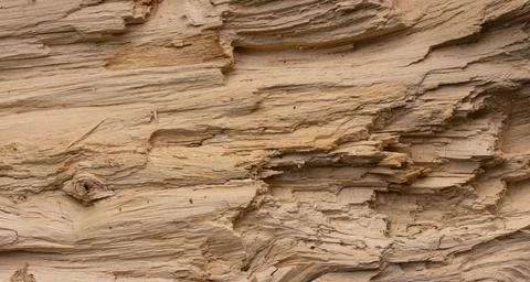 Texture of a split tree trunk Foto stock