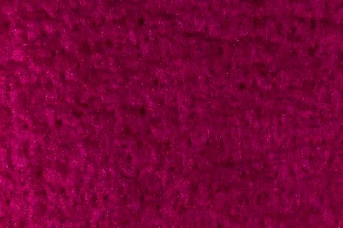 Texture of the sponge Stock Photos