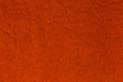 Texture of the sponge Stock Photos