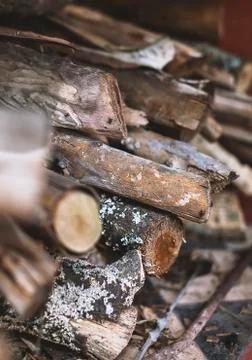 Texture of stack of firewood Stock Photos
