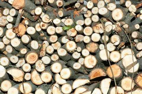Texture stack of wood Stockfoto's