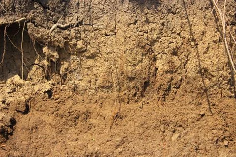 Texture steep banks Stock Photos