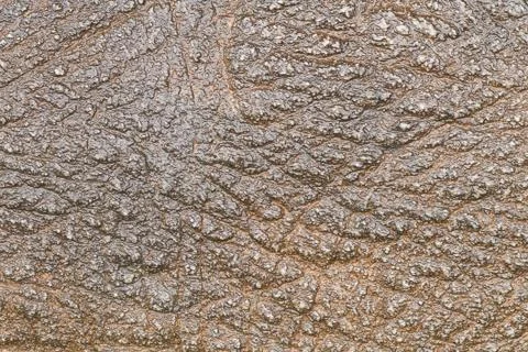 Texture of stone for background and pattern Stock Photos