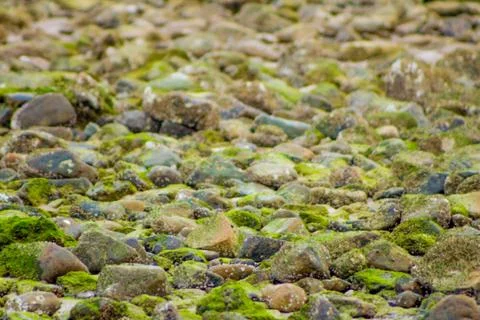 Texture of stone background close-up part of the wall of natural stone lined Stock Photos