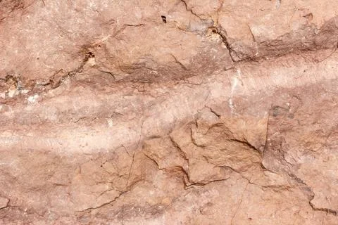 Texture of stone background Foto stock