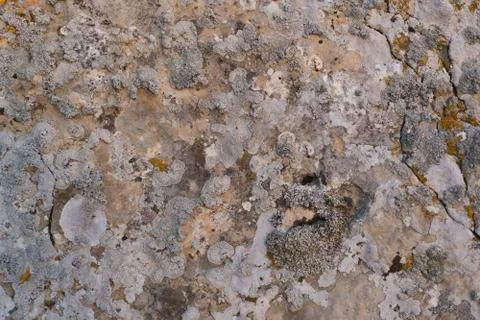 The texture of the stone close up Foto stock