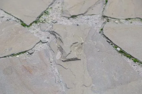 The texture of the stone coating on the ground. Stock Photos