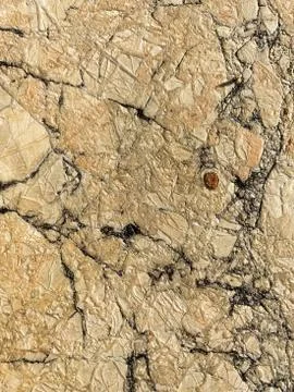 The texture of the stone with cracks. Background of natural stone. Stock Photos