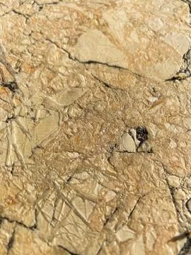 The texture of the stone with cracks. Background of natural stone.  Stock Photos