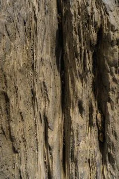 Texture of stone eroded by water over the years. Stock Photos