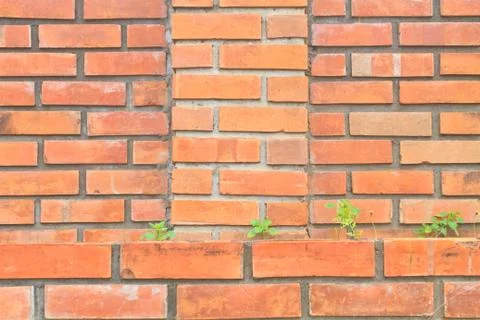 Texture stone old wall Stock Photos
