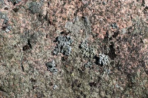 The texture of the stone. Stock Photos