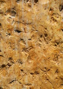 Texture of stone Stock Photos