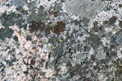 The texture of the stone. Stock Photos