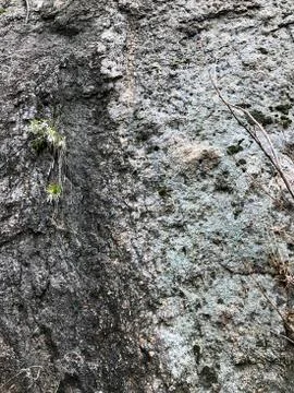 The texture of the stone. Stock Photos