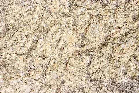 The texture of a  stone Stock Photos