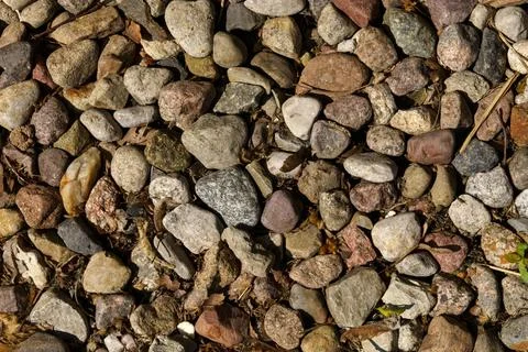 Texture of a stone street path with withered leaves. Stock Photos