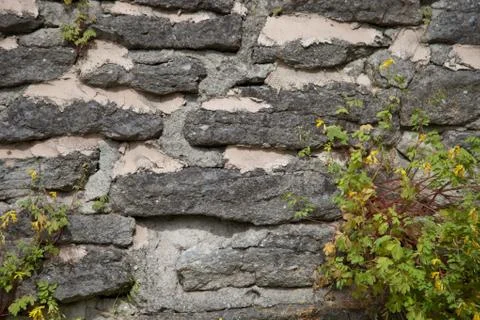 Texture of the stone wall with grass Stock-Fotos