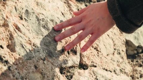 The texture of a stone wall. Hand touching natural stone, organic patterns and Stock Footage 334138644