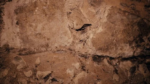 Texture of a stone wall. Old castle stone wall texture background. Stock Footage 119474721