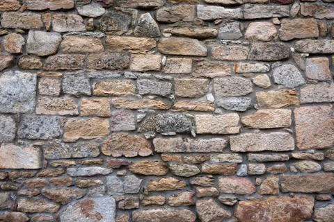 Texture of a stone wall. Old castle stone wall background. Wall made of wild  Stock Photos