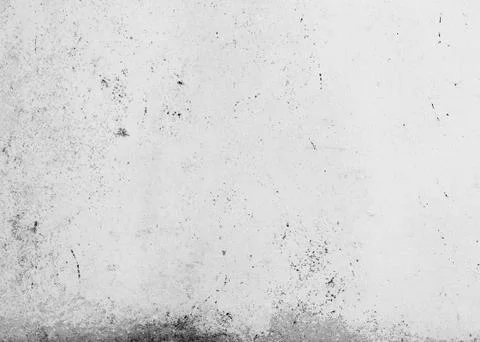 Texture of stone wall Фото