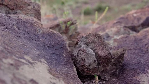 The texture of the stones covered with moss in the mountains, the movement of Stock Footage 77024006