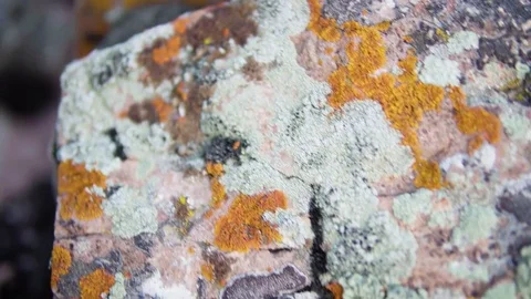 The texture of the stones covered with moss in the mountains, the movement of Stock Footage 78762424