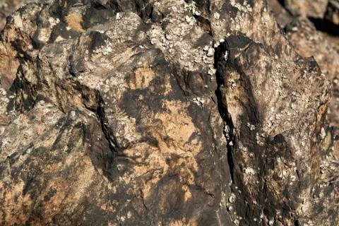 Texture of stones Stock Photos