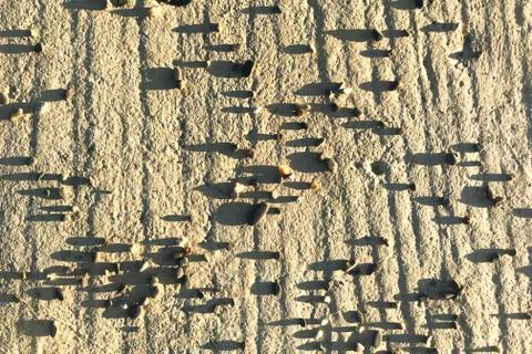 Texture stones shadow Foto stock