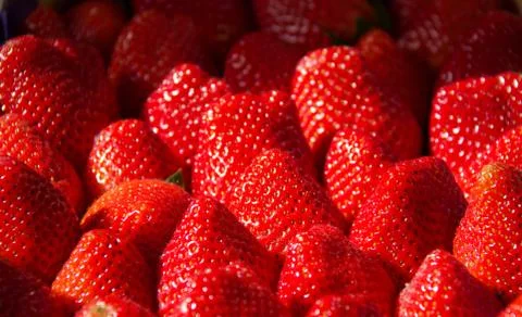 Texture of strawberries in the daylight Stock Photos