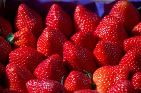 Texture of strawberries  full frame Stock Photos