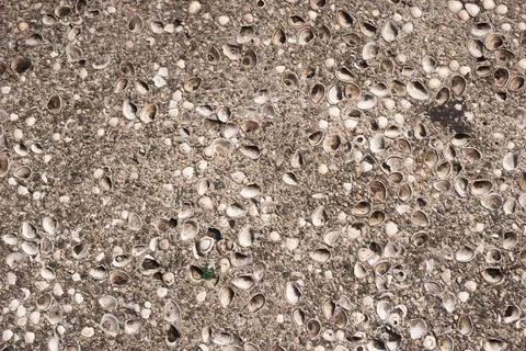Texture of a street floor. Geometric pattern. Background. Abstract. Copy spac Stock Photos