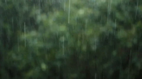 Texture strong tropical rain on a background of foliage Vídeo Stock 65385129