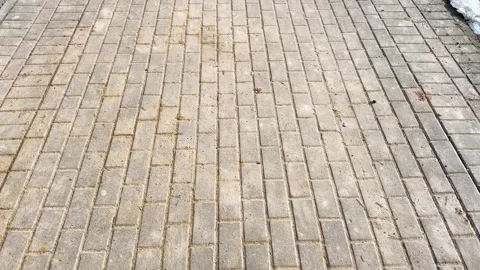 Texture of sunlit brick pavement from above, clean pedestrian sidewalk Video stock 330405572
