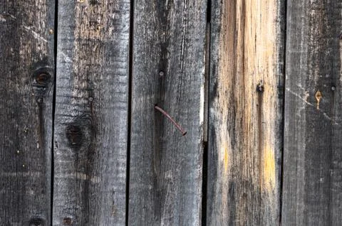 Texture of the surface of an old plank wall. Close up. Stock Photos