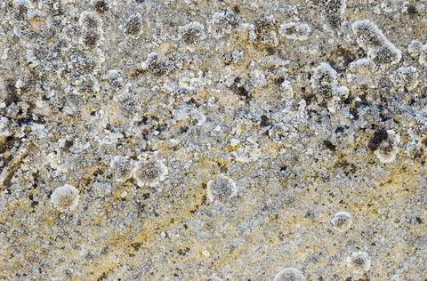 Texture of a surface of an old stone Stock Photos