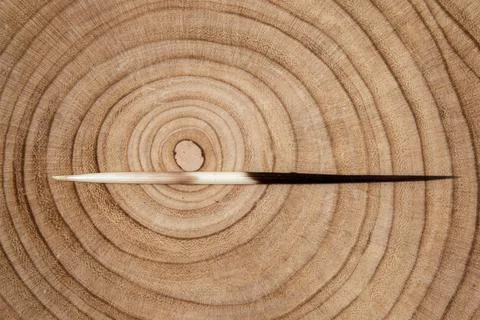 The texture of the surface of the old tree stump. Very old wood texture. The Stock Photos