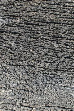 Texture of the surface of an old wooden board located in the open air for many Stock Photos