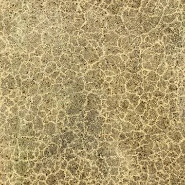 Texture surface Stock Photos