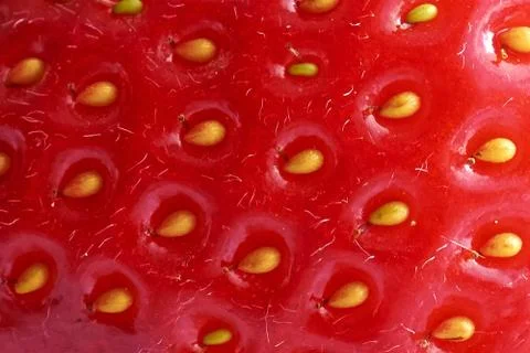 Texture surface red strawberries closeup Stock Photos