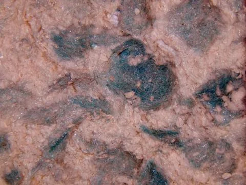 Texture of a surface of silk plaster closeup Stock Photos