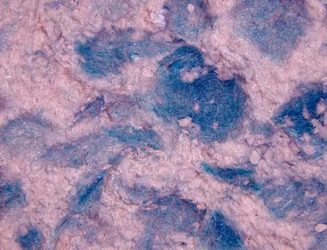 Texture of a surface of silk plaster closeup Stock Photos
